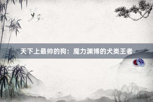 天下上最帅的狗：魔力渊博的犬类王者